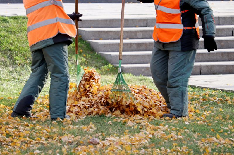 Raking Leaves Professionally