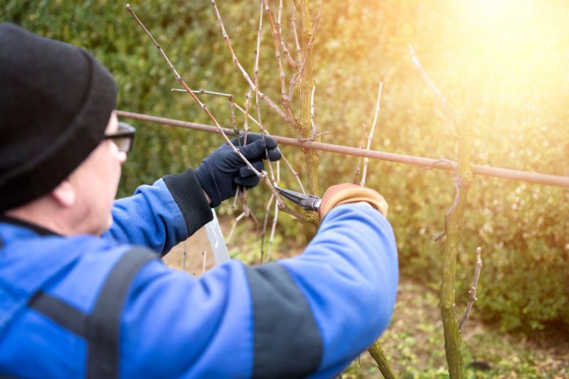 Pruning in the Garden