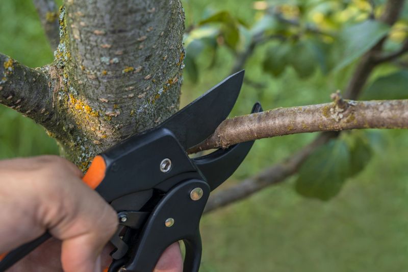 Products For Plant Prunings in use