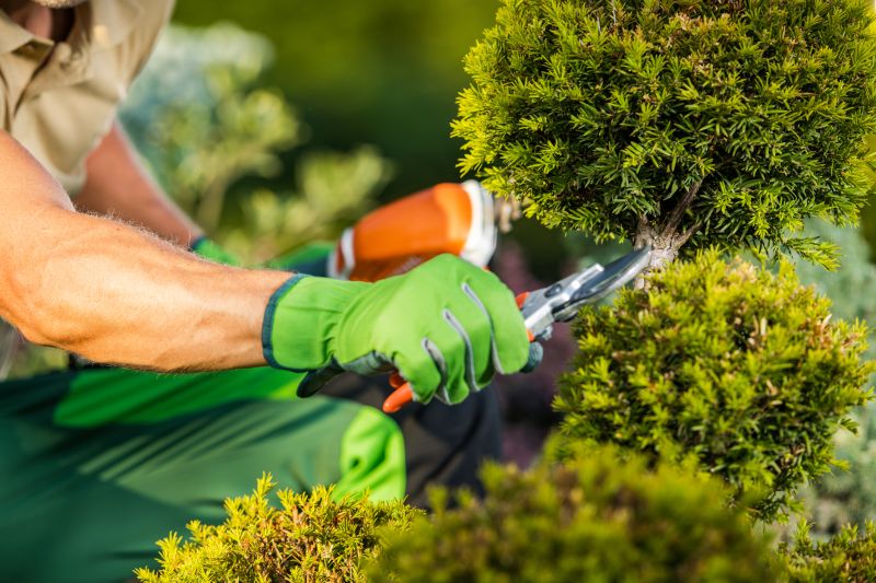 Plant Pruning Service